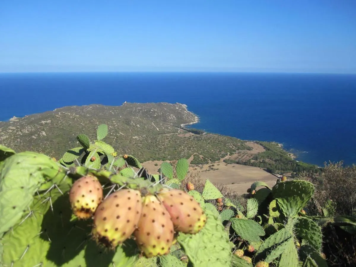 B&B I Fenicotteri Muravera