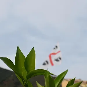 Bed & Breakfast Sa Mariposa, Muravera